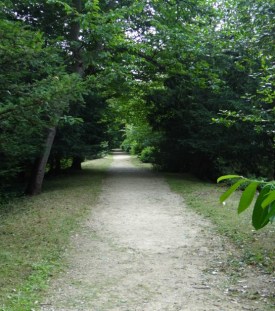 11a path